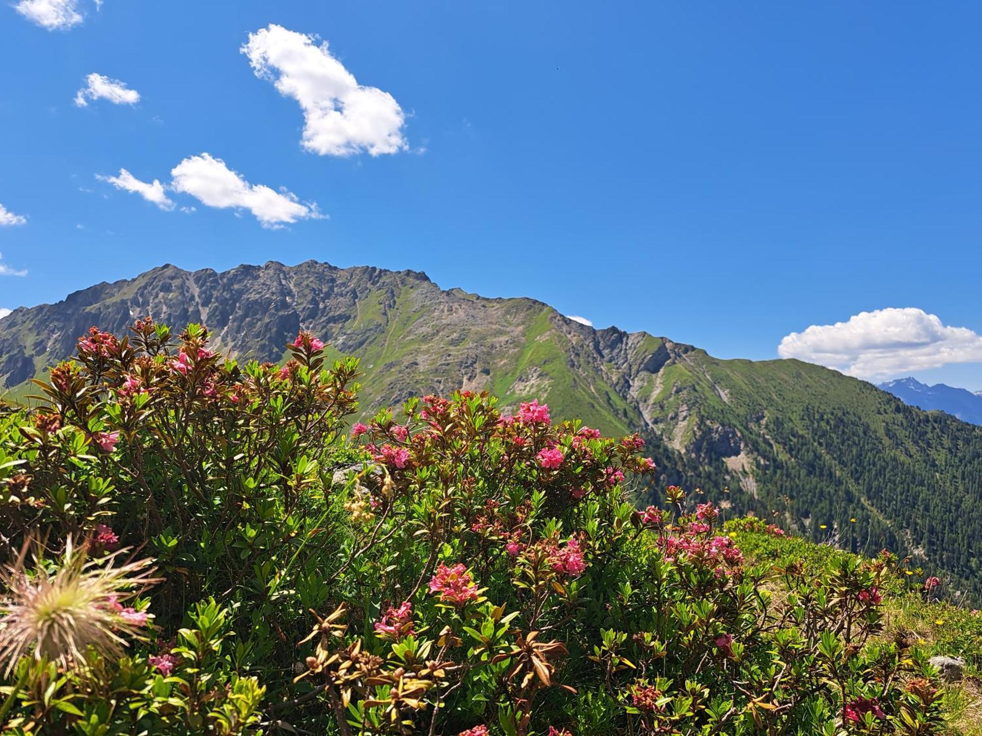 Apart Am Brunnen Ried im Oberinntal Ngoại thất bức ảnh