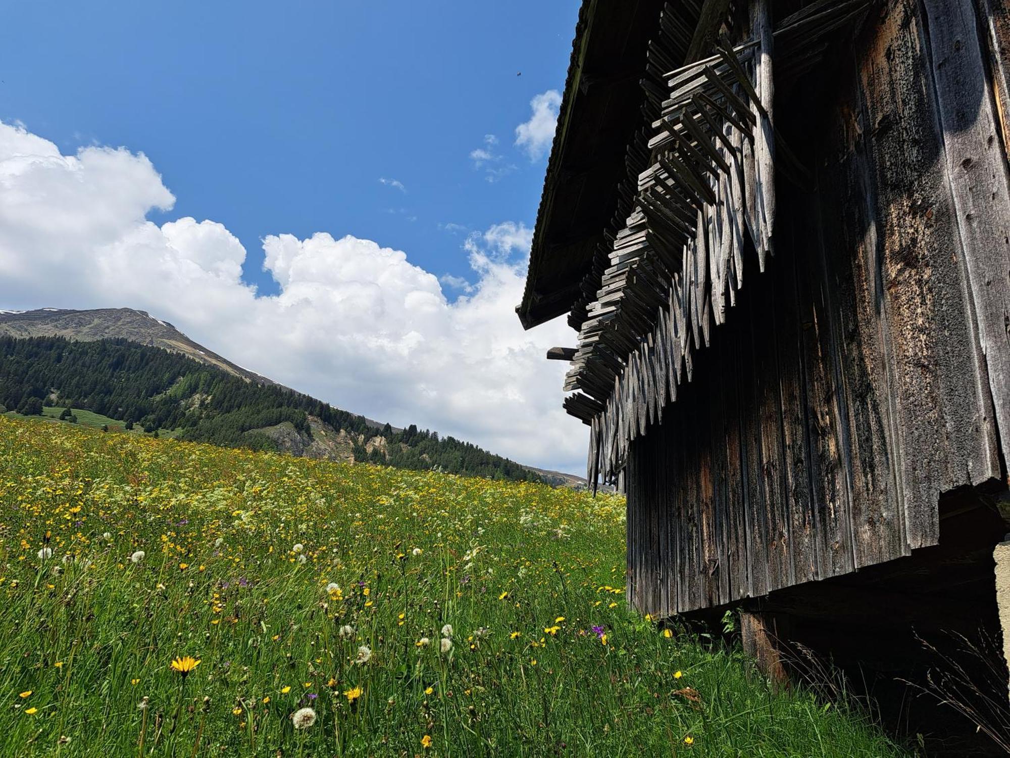 Apart Am Brunnen Ried im Oberinntal Ngoại thất bức ảnh